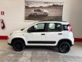usato FIAT Panda