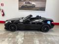 usato MERCEDES SLK 250