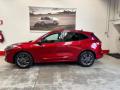 usato FORD Kuga