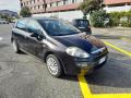 usato FIAT Punto Evo