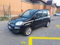 usato FIAT New Panda