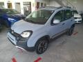 usato FIAT Panda