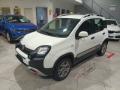 usato FIAT Panda Cross