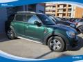 usato MINI Countryman