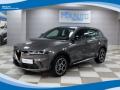 usato ALFA ROMEO Tonale