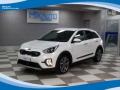 usato KIA Niro