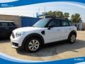usato MINI Countryman