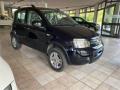 usato FIAT Panda