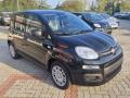 usato FIAT Panda