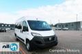 usato FIAT Ducato