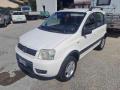 usato FIAT Panda