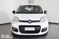 usato FIAT Panda