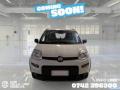 usato FIAT Panda