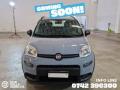 usato FIAT Panda
