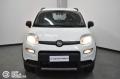 usato FIAT Panda