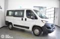 usato FIAT Ducato