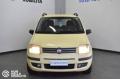 usato FIAT Panda
