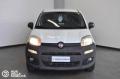 usato FIAT Panda