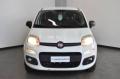 usato FIAT Panda