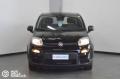 usato FIAT Panda