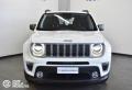 usato JEEP Renegade