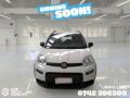 usato FIAT Panda