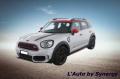 usato MINI Countryman