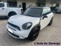 usato MINI Countryman