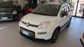 usato FIAT Panda