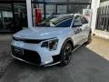usato KIA e Niro
