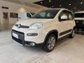 usato FIAT Panda