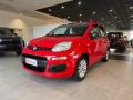 usato FIAT Panda