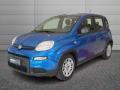 usato FIAT Panda