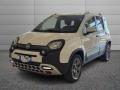 usato FIAT Panda Cross