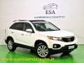 usato KIA Sorento