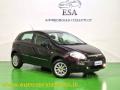 usato FIAT Punto Evo