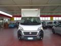 usato FIAT Ducato