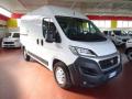 usato FIAT Ducato