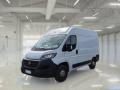 usato FIAT Ducato
