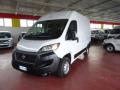 usato FIAT Ducato