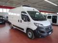 usato FIAT Ducato
