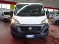 usato FIAT Ducato