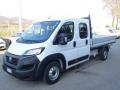 usato FIAT Ducato