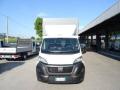 usato FIAT Ducato