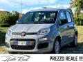 usato FIAT Panda
