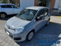 usato FIAT Panda
