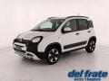 usato FIAT Panda Cross