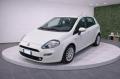usato FIAT Punto