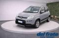 usato FIAT Panda