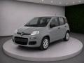 usato FIAT Panda
